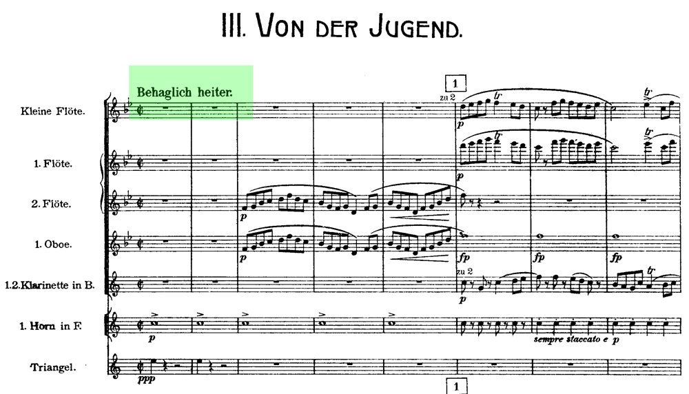 Mahler - Das Lied von der Erde - mov.3 ex.1 Mahler - Das Lied von der Erde - mov.3 ex.1